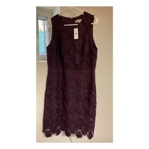 Loft Dark Purple Lace Dress
